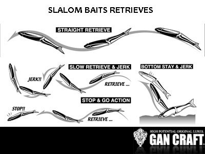 slalom-baits-retrieves